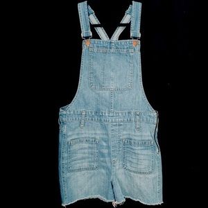 Madewell Adirondack Denim Shortalls